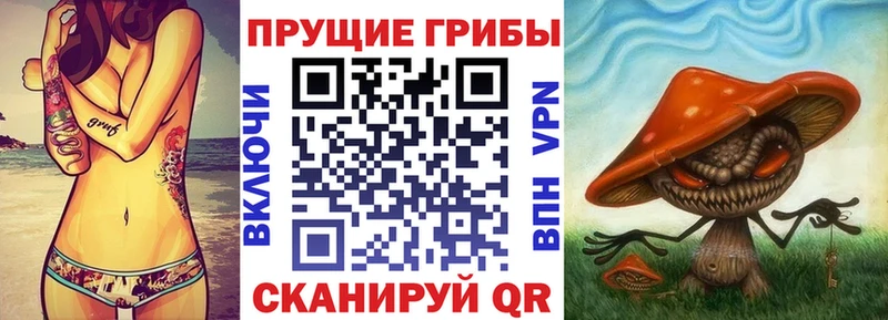 Псилоцибиновые грибы Cubensis  что такое   Нижний Тагил 